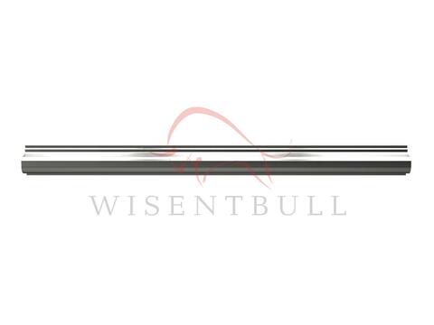 Кузовные пороги для Renault Scenic III