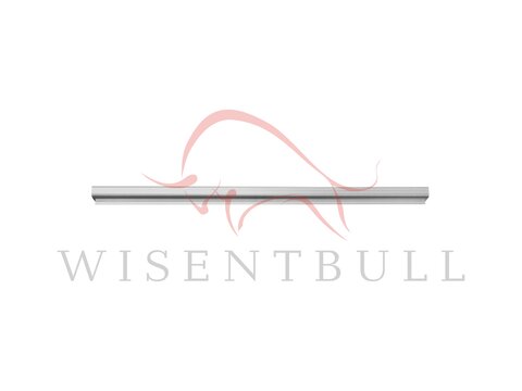 Кузовные пороги для Volkswagen Passat CC